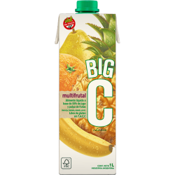 JUGO BIG X 1 LT
