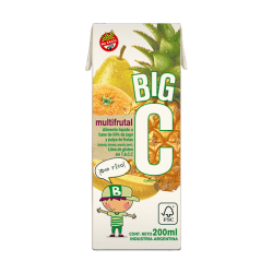 JUGO BIG X 200 ML
